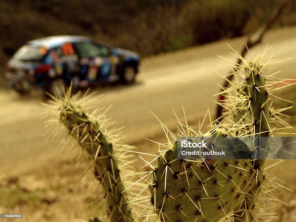 Rally WRC 2005 - Foto stock royalty-free di Automobile