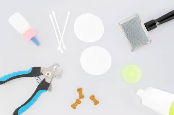 istock pets hygiene products, cotton sticks and pads with slicker and toothpaste 1158610183