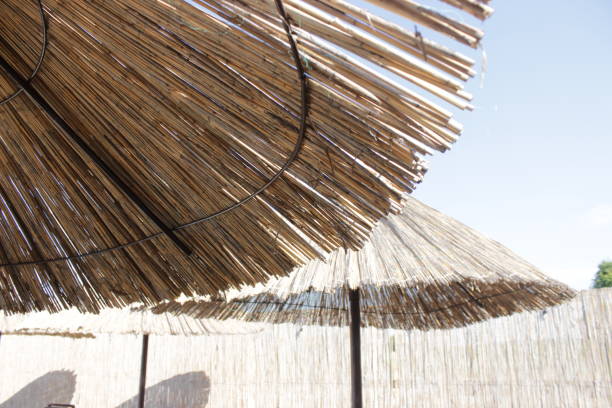 Different view on Rattan Sun Umbrella and wooden sunbeds on public swimming pool