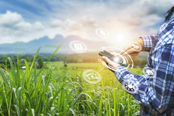 istock Innovation technology for smart farm system, Agriculture management, 1158613345