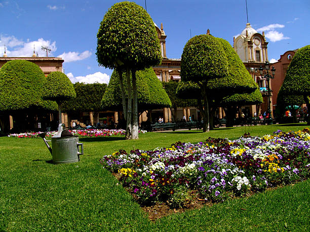 Leon's Gto Mexico Zocalo Garden