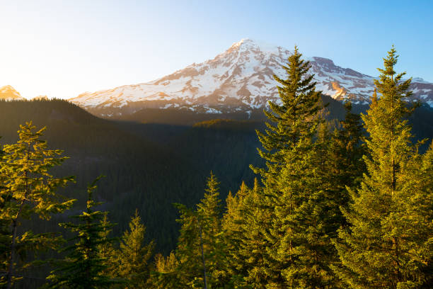 Mount Rainier at Mount Rainier National Park, Washington State, USA