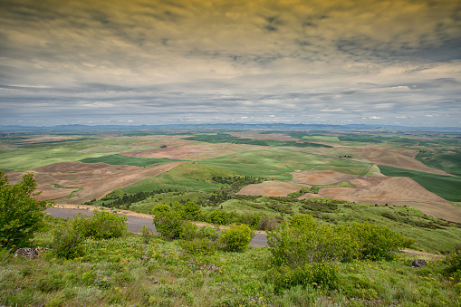 View from Steptoe Butte, Colfax Washington