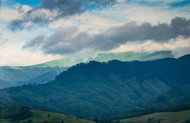 istock Summer in the Carpathians 1158616173
