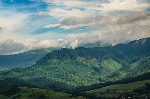 istock Summer in the Carpathians 1158616175