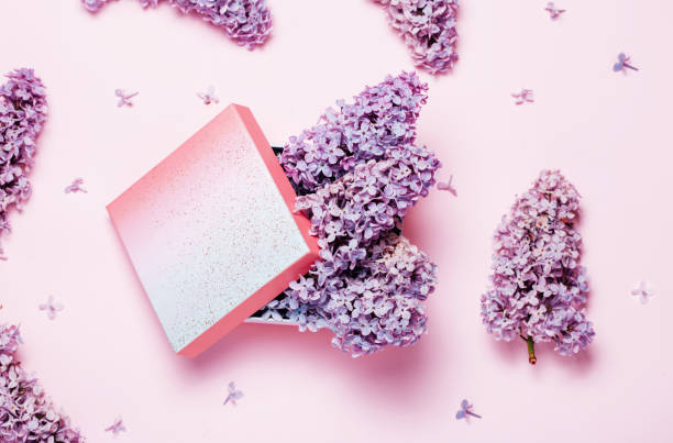 istock Lilac blossom flowers pattern in pink colors. 1158616818