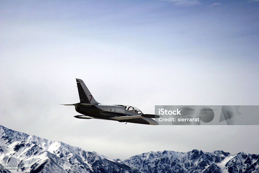 L - 39 checo Jet - 5 - Royalty-free Avião Foto de stock