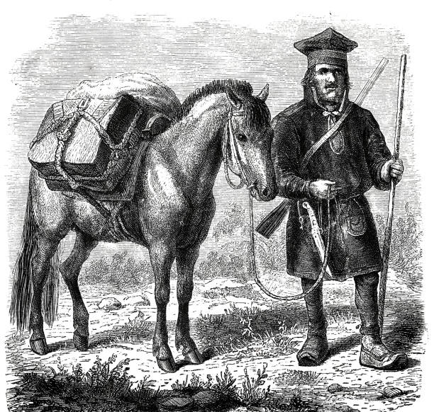 istock Portrait of a tour guide with horse, Lapland 1158619670
