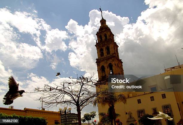 Iglesia León Plaza Pigeon Foto de stock y más banco de imágenes de Guanajuato - Guanajuato, Esquina, León - México