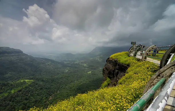MAHARASHTRA, INDIA, September, 2013, Tourist at Malshej Ghat on a cloudy day with yellow flowers.