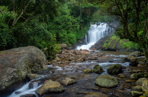 istock Lakkom waterfall, Idukki district of Kerala, India 1158622326