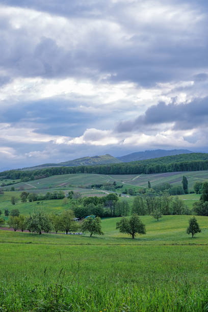 istock Capricious spring with dramatic cloudy sky above grasslands and hills in the Rhine valley 1158623565