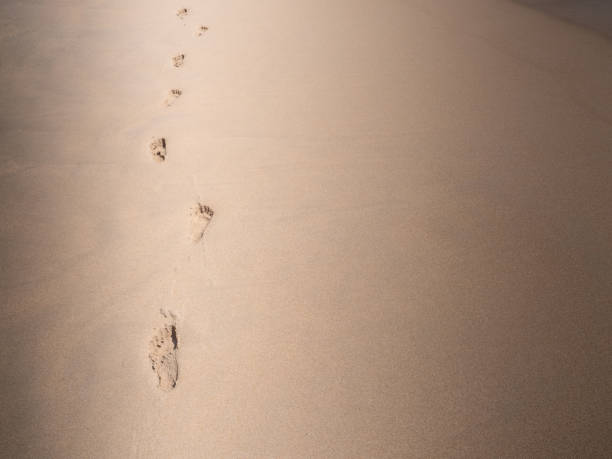 istock The footprint on the sand 1158624947