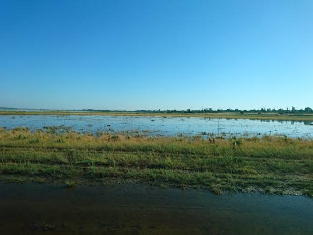 istock Tiligul estuary is a place where you can take useful mud-salt procedures, a place where there are no hotels and winds blow. 1158625289
