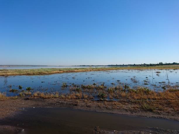 istock Tiligul estuary is a place where you can take useful mud-salt procedures, a place where there are no hotels and winds blow. 1158625302
