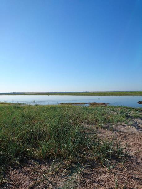 istock Tiligul estuary is a place where you can take useful mud-salt procedures, a place where there are no hotels and winds blow. 1158625337