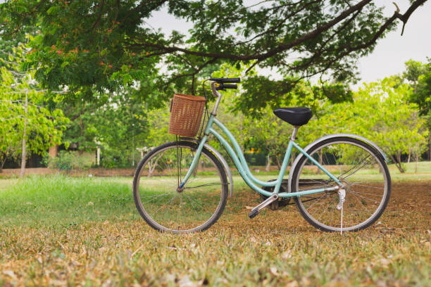 istock Beautiful vintage bicycle in park 1158625407