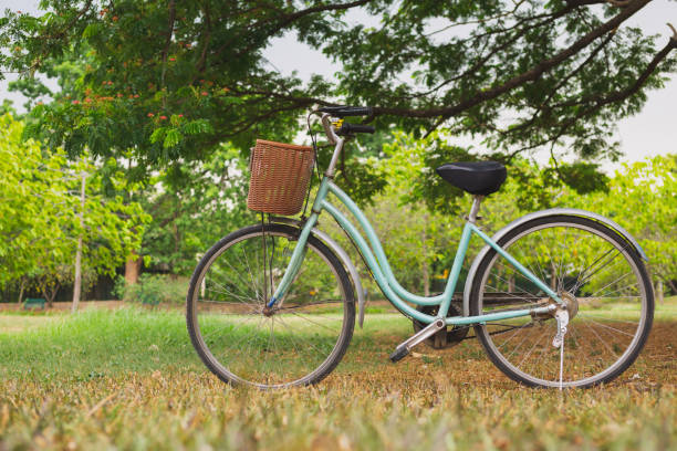istock Beautiful vintage bicycle in park 1158625579