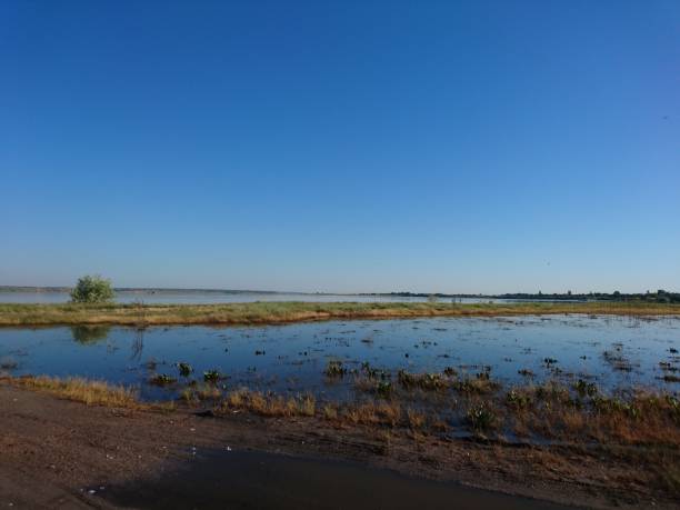 istock Tiligul estuary is a place where you can take useful mud-salt procedures, a place where there are no hotels and winds blow. 1158625829