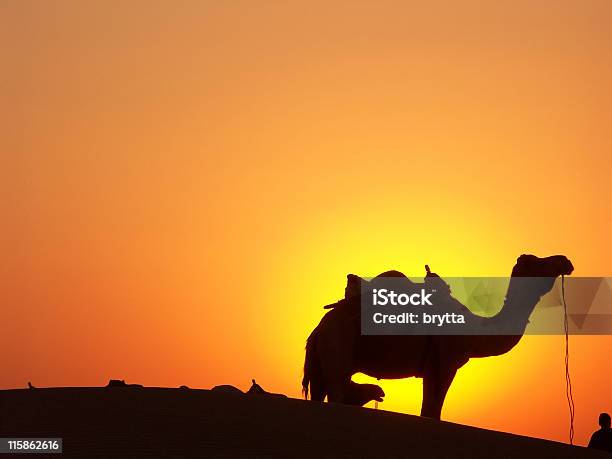 Magiczne Zachody Słońca W Khuri Pustynia Thar Radżastan Indie - zdjęcia stockowe i więcej obrazów Radżastan