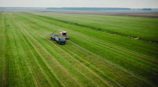 istock tractor mows the grass on a green field aerial view 1158629804