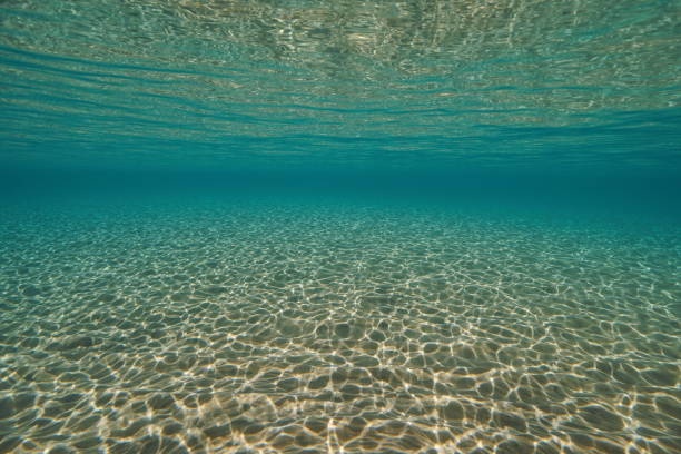 istock Underwater sand below water surface natural scene 1158629819