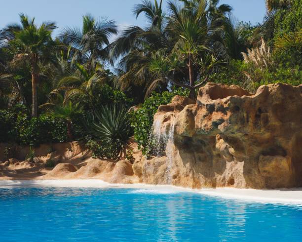 istock blue water, tropical plants and waterfall 1158631108