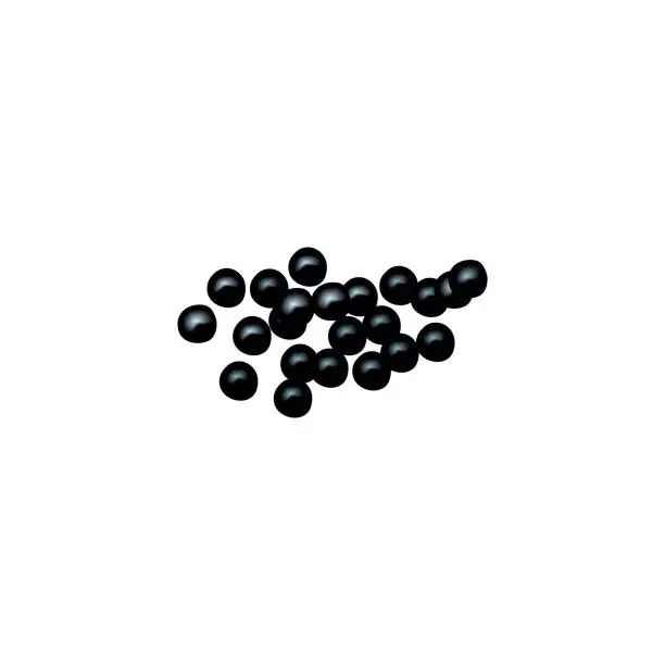 Vector illustration of Isolated black berries. Black Caviar. black currant, elderberry, chokeberry. fruits isolated