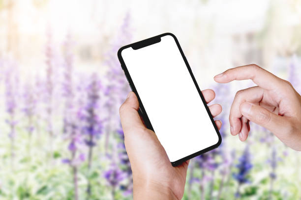 istock woman using Smartphone. Blank screen mobile phone for graphic display montage.networking service. 1158632398