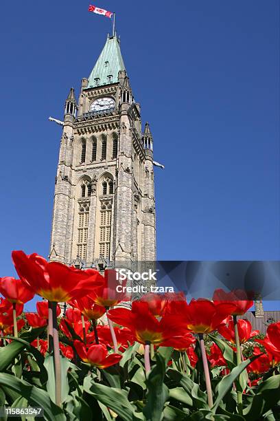 Foto de O Parlamento Tulipas 02 e mais fotos de stock de Arquitetura - Arquitetura, Azul, Canadá