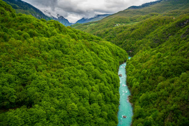 Montenegro, Turquoise waters of tara river flowing through majestic green tara canyon nature landscape crossed by some wires for zip lining stock photo