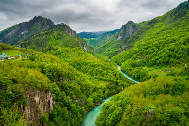 czarnogóra, wiele przewodów zip line przekraczania zielony kanion tara krajobraz przyrody dla zabawy turystycznej przygody zip podszewka nad majestatycznym kanionem - zip lining zdjęcia i obrazy z banku zdjęć