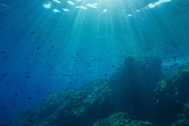 istock Underwater seascape Mediterranean sea 1158637214