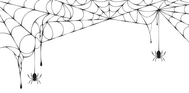 Halloween spiderweb border with hanging spiders. Vector isolated spooky background for october night party and invitations. vector art illustration