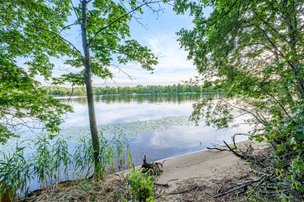 istock calm summer day evening by the forest lake in forest 1158642470