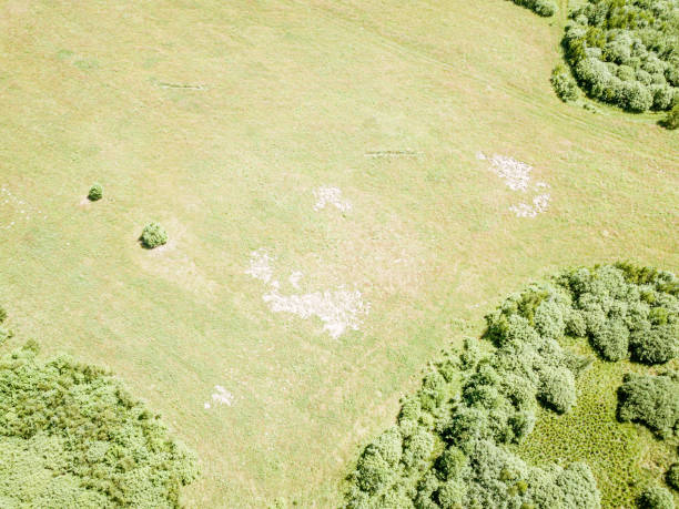 istock cultivated agriculture fields from above birds eye in summer 1158643216