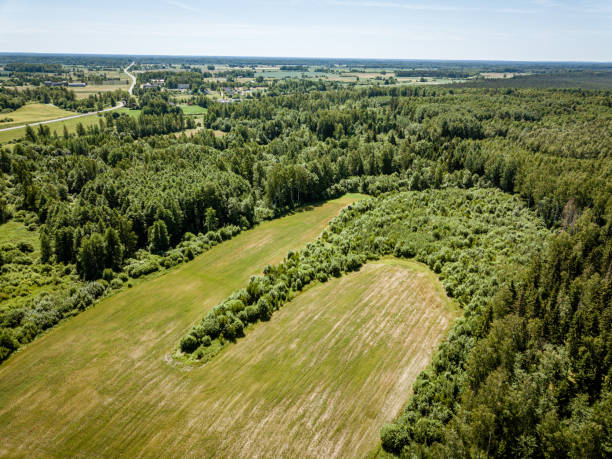 istock cultivated agriculture fields from above birds eye in summer 1158643222