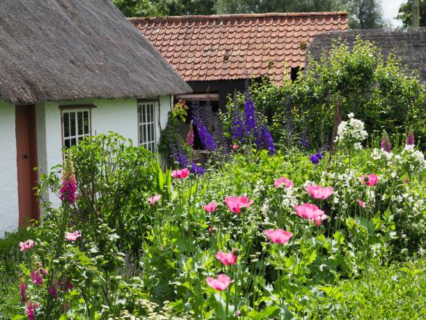 istock English cottage garden 1158645159
