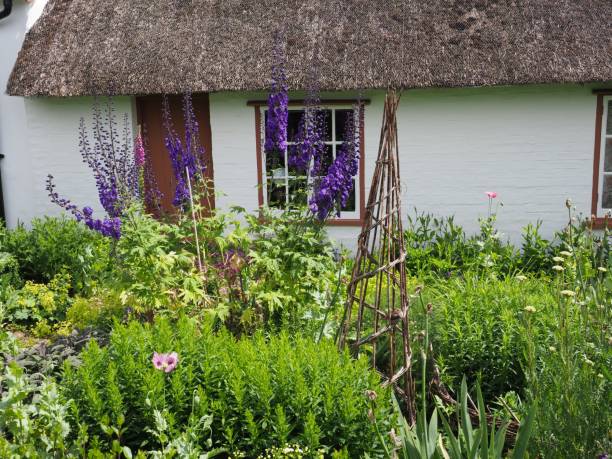 istock English cottage garden 1158645161