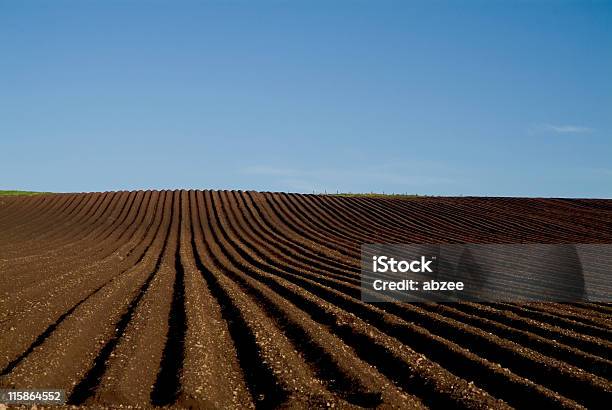 Ploughed フィールド - 田畑のストックフォトや画像を多数ご用意 - 田畑, 農業, カラー画像