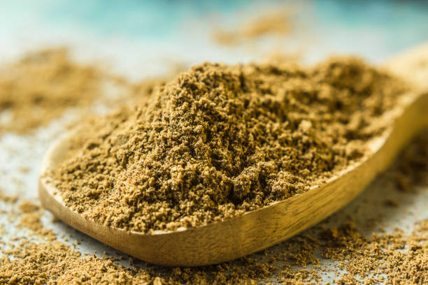 polvere garam masala - spice kitchen utensil herb curry powder foto e immagini stock
