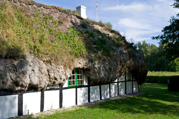 dania: domek hedwigs hus z dachem z wodorostów na wyspie laesoe - thatched roof zdjęcia i obrazy z banku zdjęć
