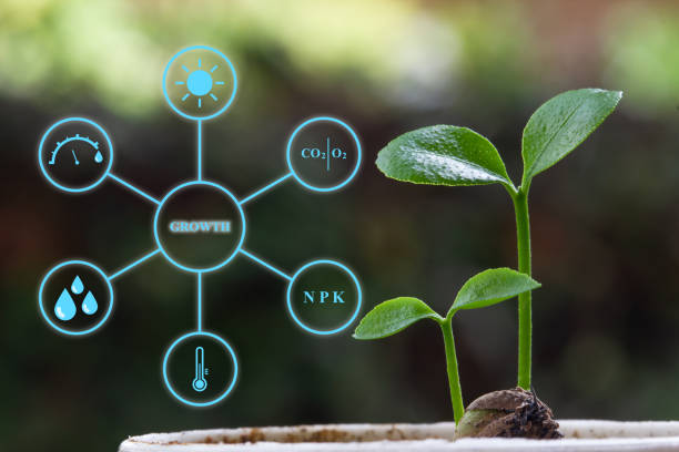 istock A modern Agricultural farm field with technology concept. Orange seedlings with digital display showing a 6 factors for plant good growth. Depicts the use of modern technology in agriculture. 1158649214