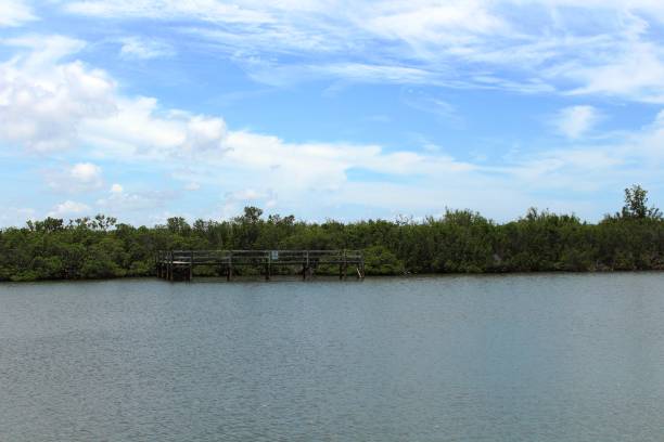 istock Fishing Dock on the Indian River Lagoon 1158650336