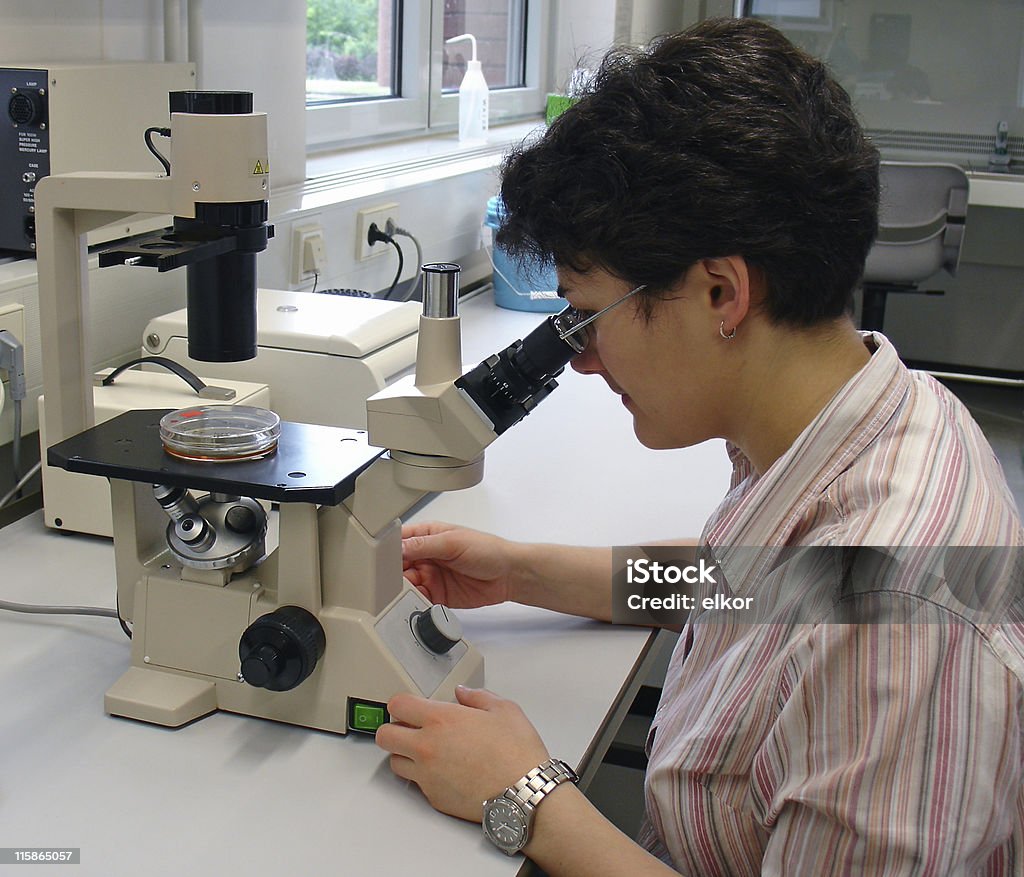 Microscopy A scientist analyzing cultured cells under the microscope. Adult Stock Photo