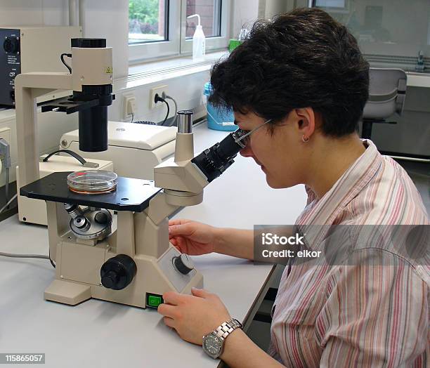 Microscopy Stock Photo - Download Image Now - Adult, Advice, Analyzing