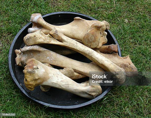 Big Bones Stock Photo - Download Image Now - Cooking Pan, Farm, Feeding