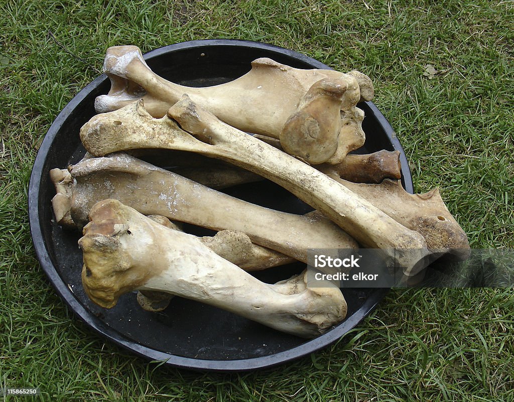 Big ossos - Foto de stock de Alimentar royalty-free