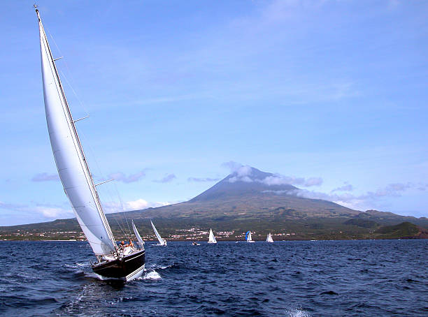 regatta stock photo