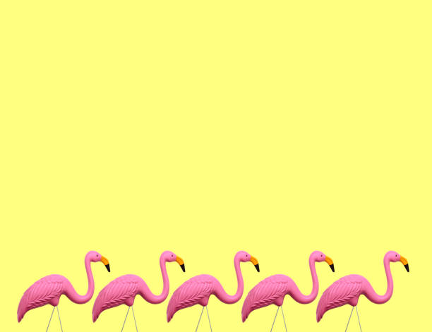 fenicotteri rosa su sfondo giallo - plastic flamingo foto e immagini stock